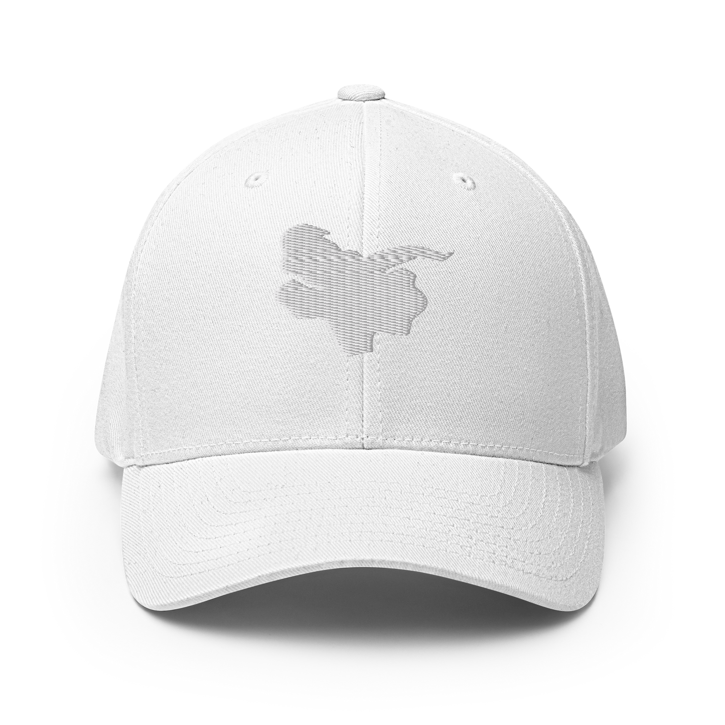 Long Gu Dragon Logo Cap