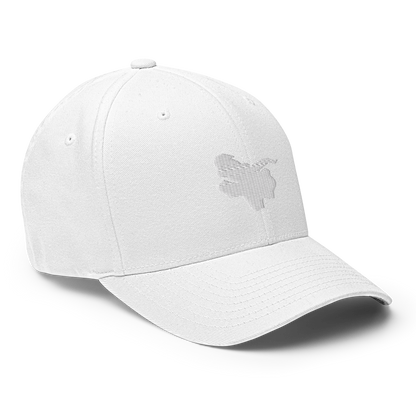 LG001 - Dragon Logo Cap